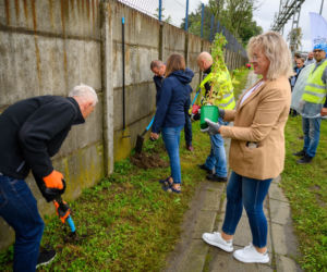 Zielone ogrodzenie przy płocie okalającym Grupę Azoty w Tarnowie