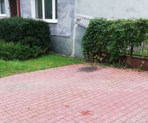 Podźgał dziewczynę, bo go rzuciła