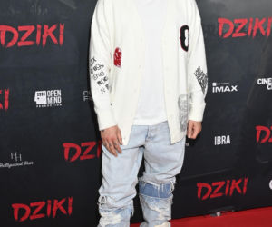 Tłum gwiazd na premierze filmu Dziki