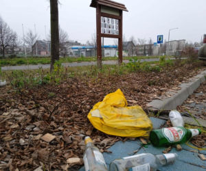 Park kieszonkowy w Siedlcach przy ul. Jagiełły