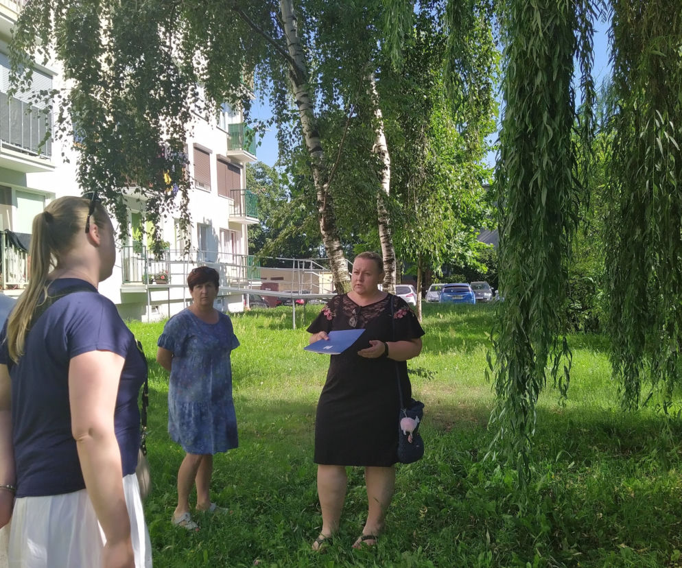 Mieszkańcy przeciwni wycince kolejnego drzewa na osiedlu Asnyka w Kaliszu