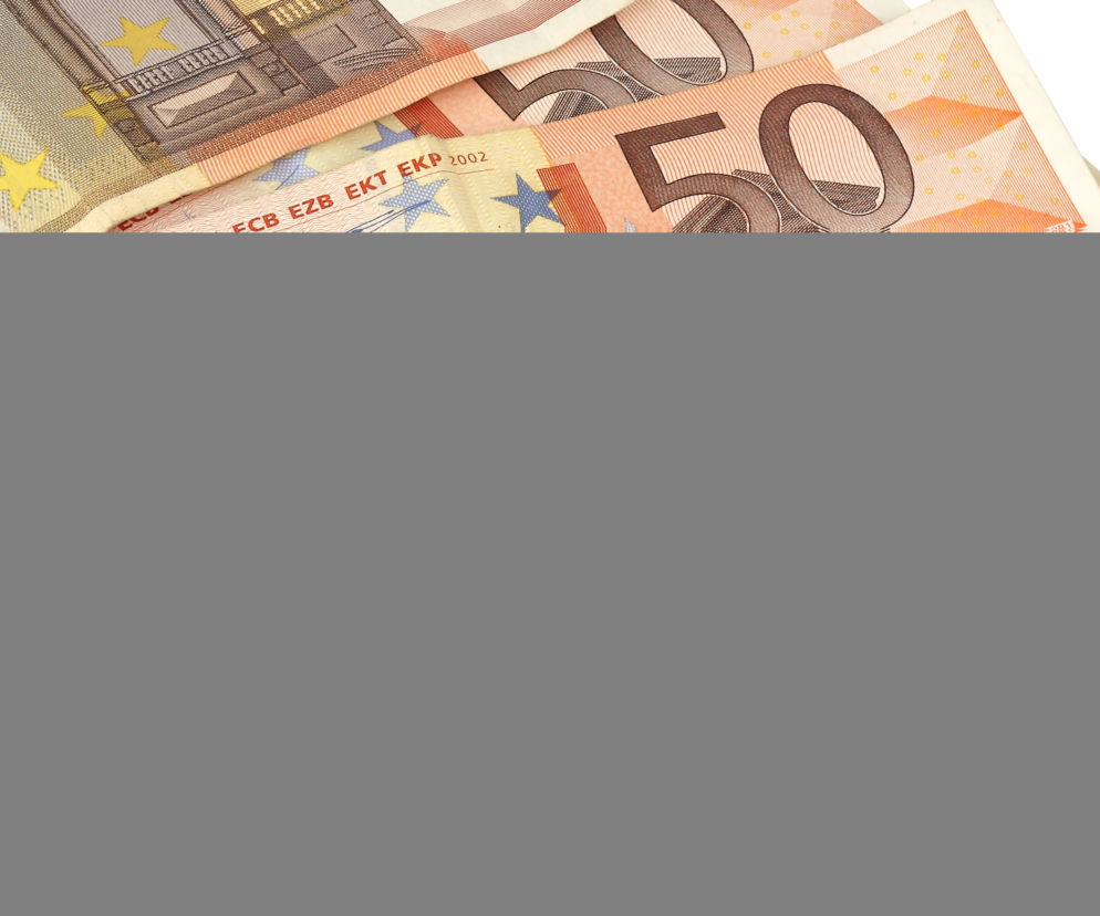 Euro i złoty