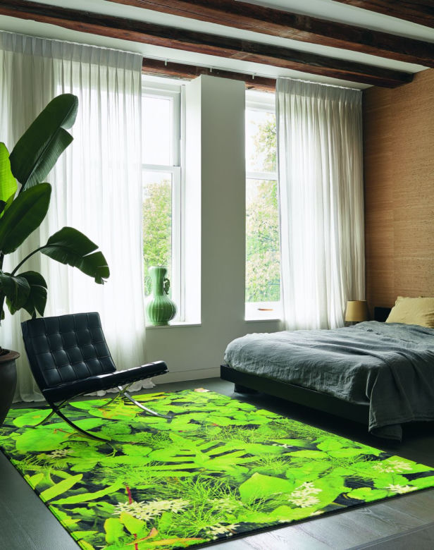 Monstera we wnętrzach