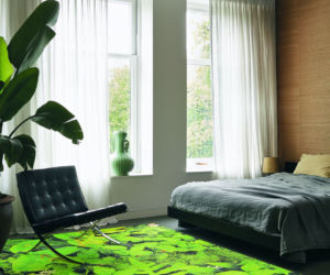 Monstera we wnętrzach