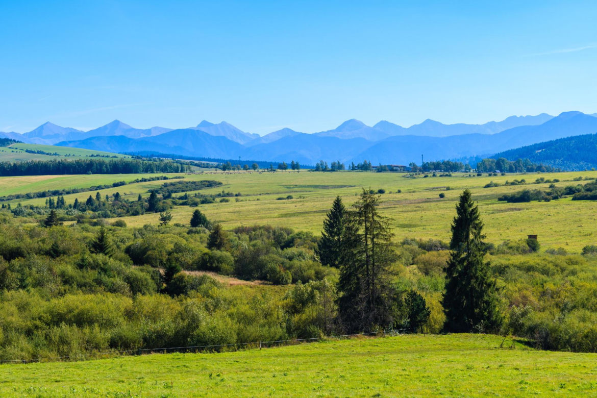 Czarny Dunajec