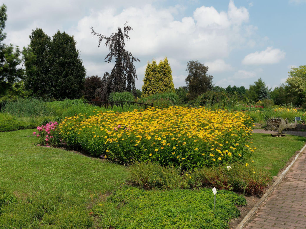 Ogród Botaniczny PAN w Powsinie