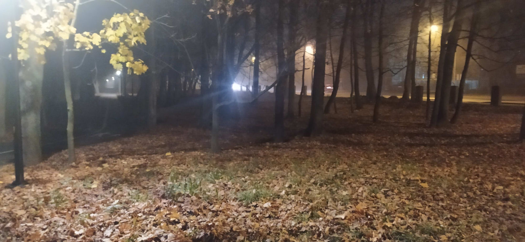 Zabójstwo księdza w parku w Siedlcach [ZDJĘCIA]