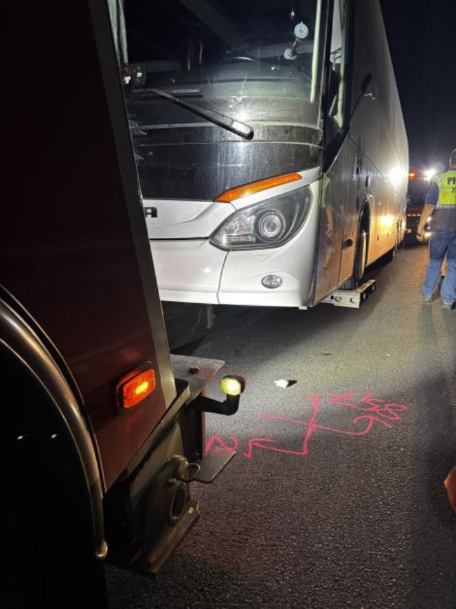 Autobus z pielgrzymami zderzył się z owcą, a gdy zatrzymał się na drodze, w jego tył uderzyła nadjeżdżająca ciężarówka