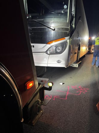 Autobus z pielgrzymami zderzył się z owcą, a gdy zatrzymał się na drodze, w jego tył uderzyła nadjeżdżająca ciężarówka