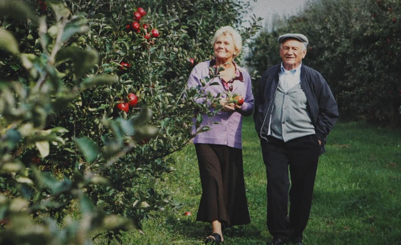 25 lat M jak miłość odcinek specjalny. Barbara (Teresa Lipowska), Lucjan (Witold Pyrkosz)