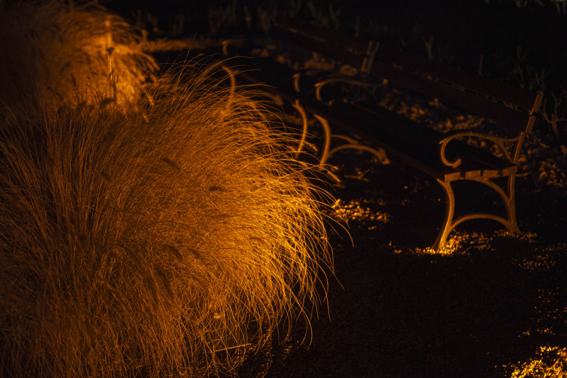 Lasery, muzyka i kolorowe iluminacje w Ogrodzie Botanicznym we Wrocławiu