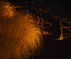 Lasery, muzyka i kolorowe iluminacje w Ogrodzie Botanicznym we Wrocławiu