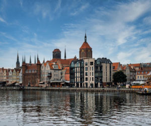 Gdzie Polacy piją najwięcej? Zatrważające dane o sprzedaży małpek