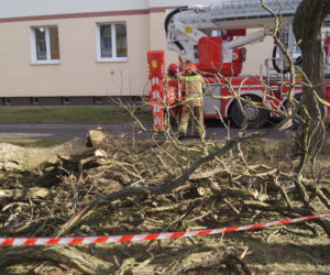 Niszczycielska wichura w Bydgoszczy [ZDJĘCIA]