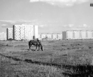 Fotografie Bielan i Żoliborza wyrzucone do śmietnika