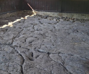 Gagaty Sołtykowskie. Największe ślady dinozaurów w Polsce