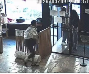 Próbowała wynieść kota z lokalu w Toruniu