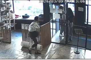 Próbowała wynieść kota z lokalu w Toruniu