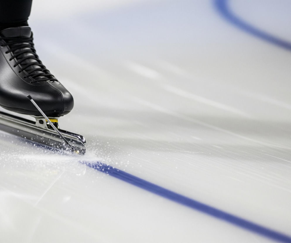 Katarzyna Bachleda-Curuś.jpg