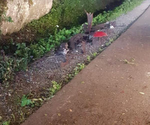 POTWORNY wypadek w Skale! Kierowca nie miał szans [ZDJĘCIA] 