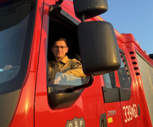 Niesamowite, co wydarzyło się pod Lublinem! Myszołów przeżył zderzenie z samochodem