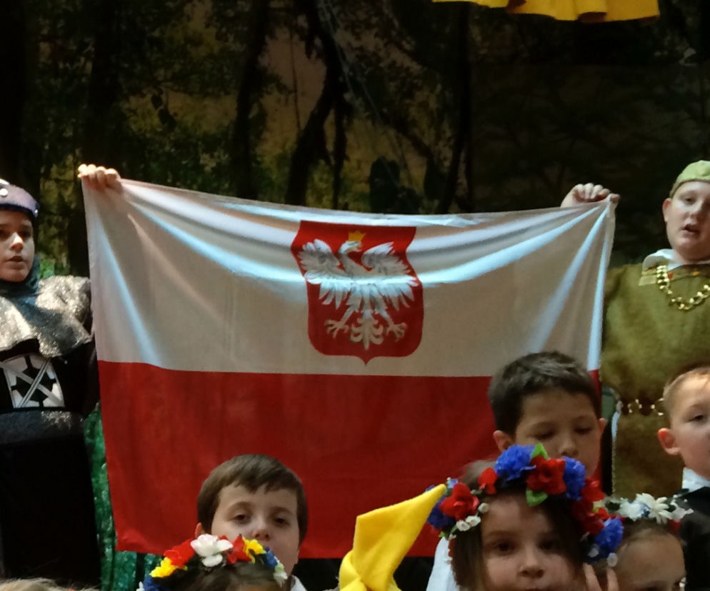 polonia, greenpoinit