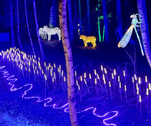 Lumina Park Bydgoszcz