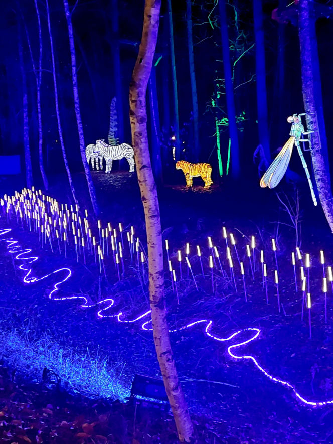 Lumina Park Bydgoszcz