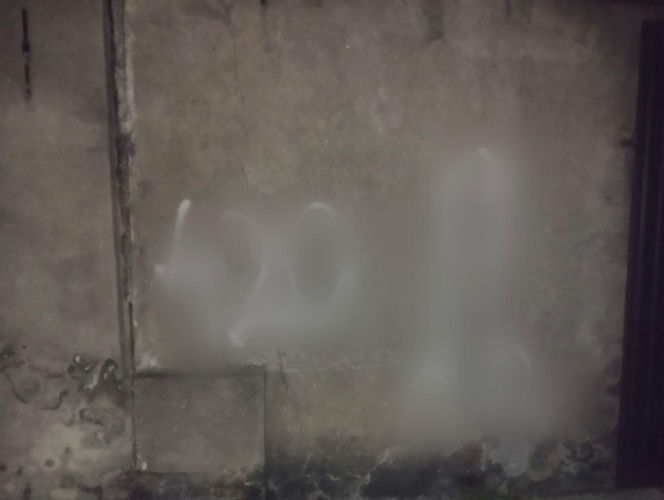 Wandale w Poniecu. Uszkodzili ogrodzenie kościoła i budynków mieszkalnych