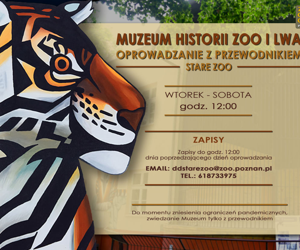 Muzeum Zoo i Lwa