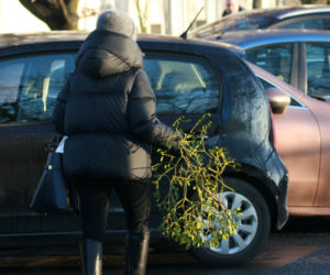 Małgorzata Tusk na przedświątecznych zakupach