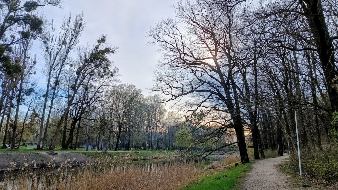 Rybaki, Toruń