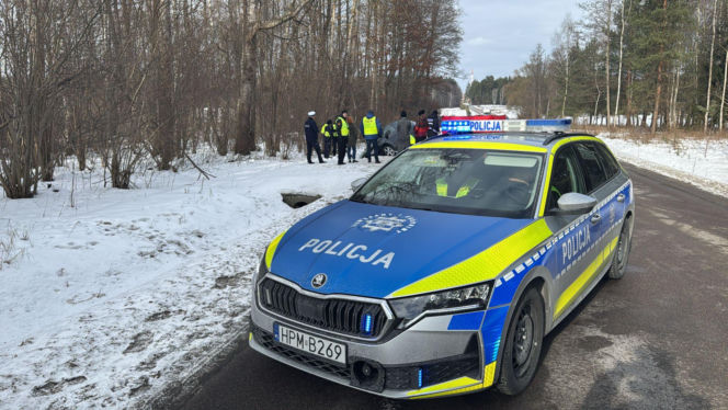 Samochód uderzył w łosia. Kierowca zginął na miejscu