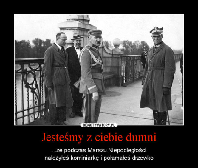 Marsz Niepodległości 2014 memy
