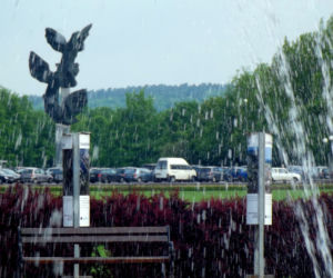 Jasne Błonia