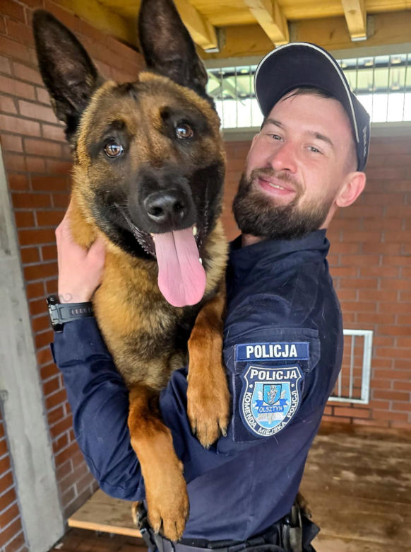  Loki ruszył tropem i doprowadził policję prosto pod drzwi złodzieja
