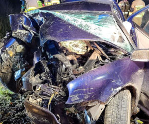 Na zakręcie pojechali prosto, ze sobą wieźli dwa duże psy. Czy któryś z nich ugryzł kierowcę?