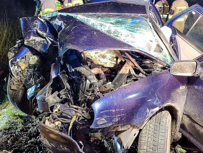 Na zakręcie pojechali prosto, ze sobą wieźli dwa duże psy. Czy któryś z nich ugryzł kierowcę?