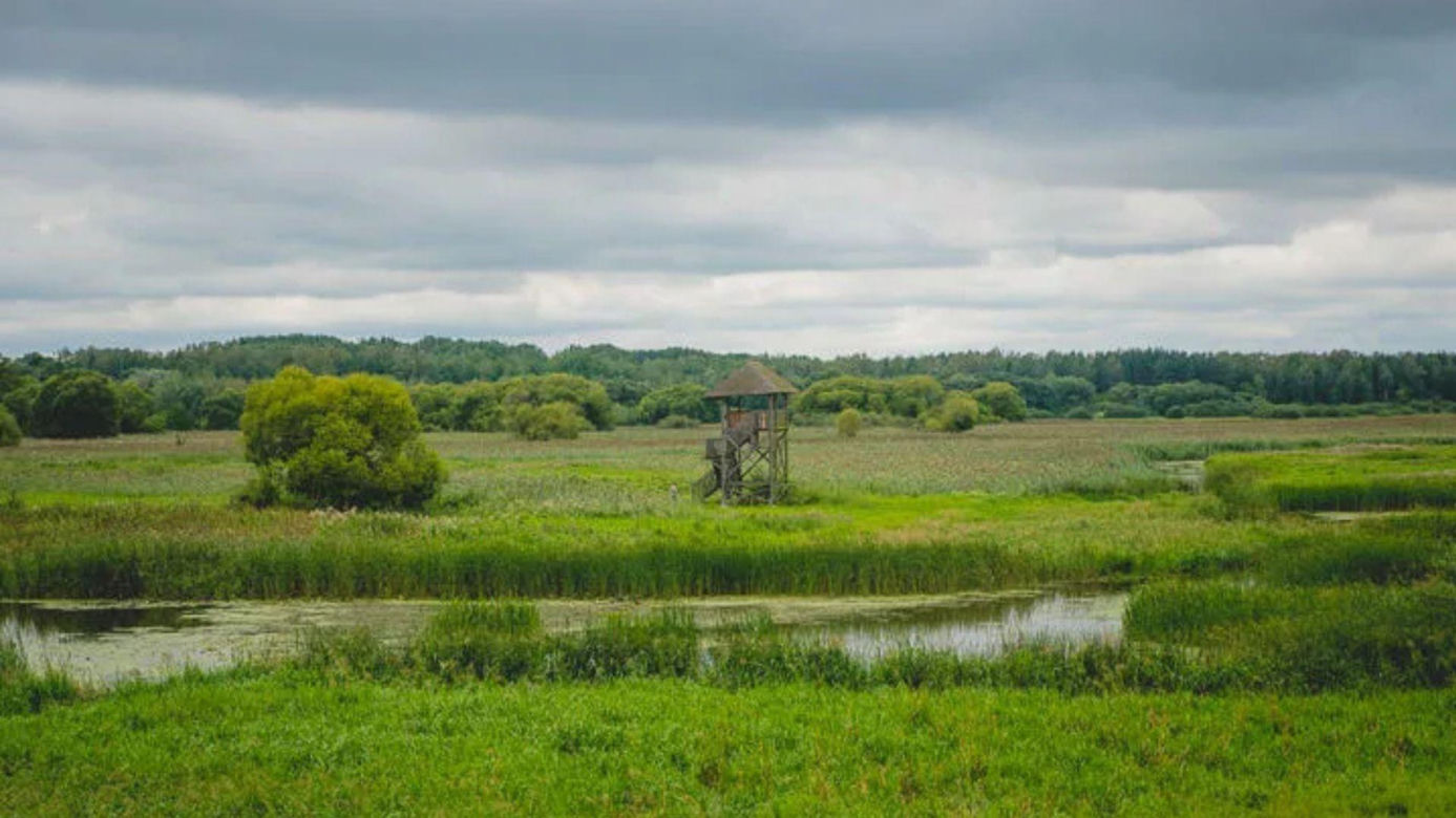 Rzeka Narew na Podlasiu