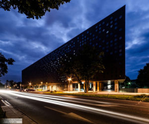 Serowiec okazuje się wdzięcznym obiektem do fotografowania