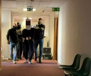 Te historie wyciskały łzy w 2025 roku. Bezsensowna śmierć, cierpienie zwierząt i niewytłumaczalna zbrodnia