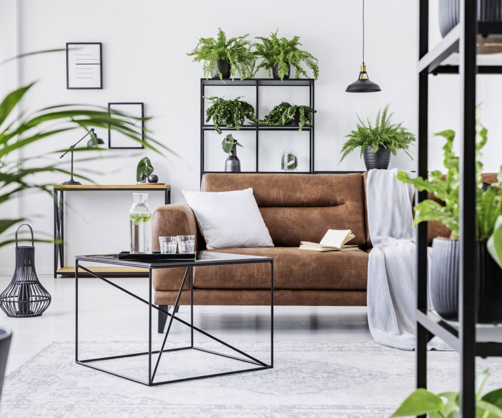 Wnętrze w stylu urban jungle