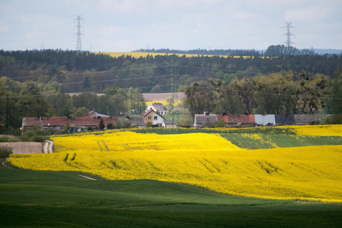 Pelplin – „mały Watykan” w woj. pomorskim