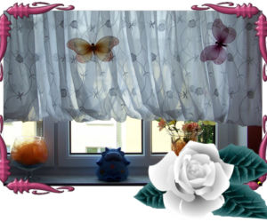 Zdjęcie 3833