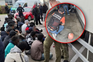 34 migrantów w chłodni na A2. Szokujące odkrycie Straży Granicznej!