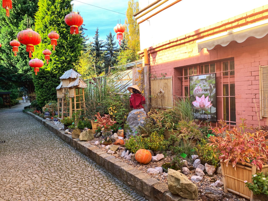 Jesień w ogrodzie botanicznym we Wrocławiu