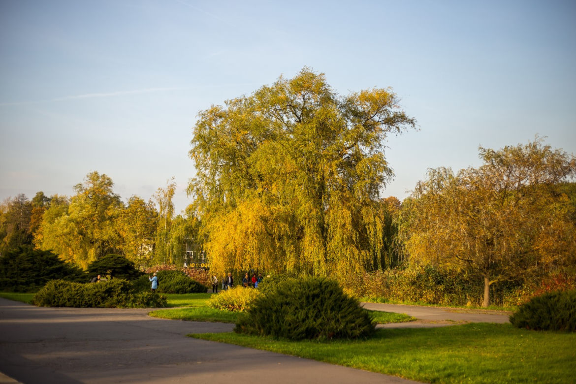 Park Śląski jesienią jest naprawdę piękny