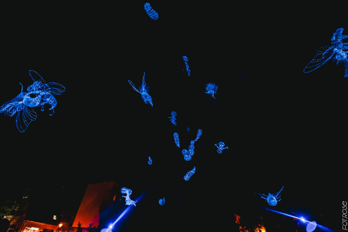 Bella Skyway Festival 2018 - zobaczcie jak było rok temu!