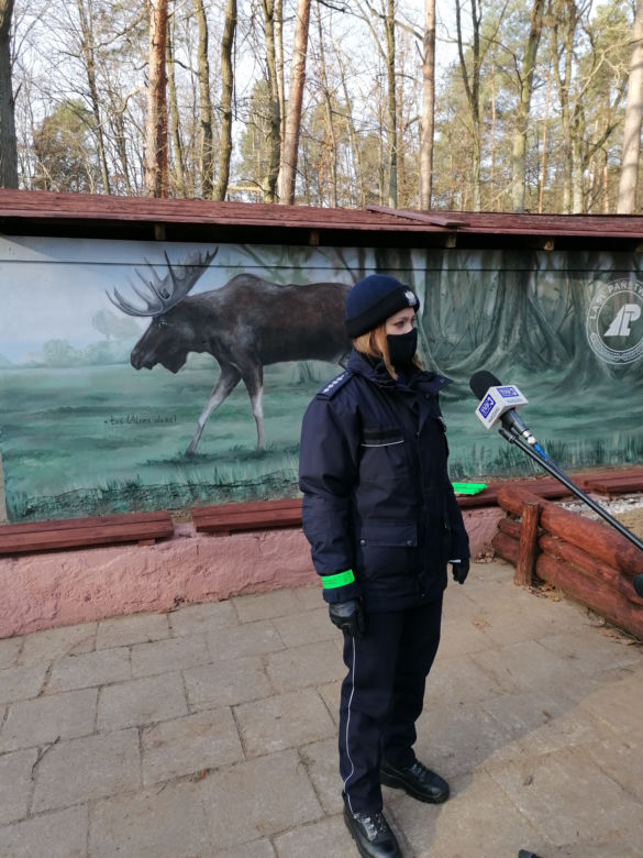 Mural z łosiem stanął przy drodze. Ma ostrzegać kierowców [ZDJĘCIA]
