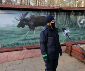 Mural z łosiem stanął przy drodze. Ma ostrzegać kierowców [ZDJĘCIA]